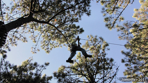 Parque Aventura: Slide agarrado a um tronco