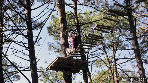 Parque Aventura: Ponte de troncos