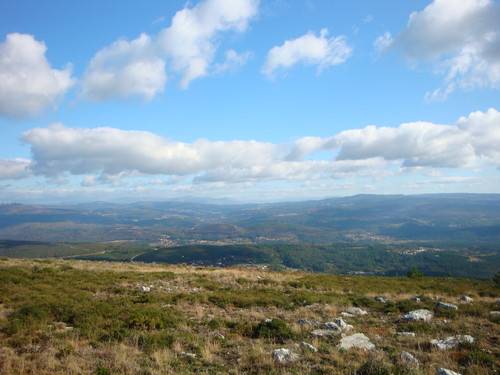 DSC09089