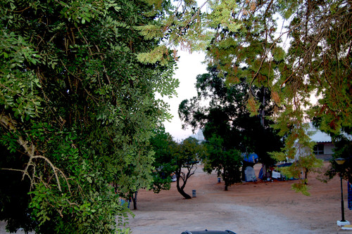 DSC_0897.JPG DSC_0897.JPG