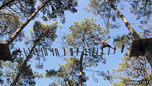 Parque Aventura: Ponte de troncos
