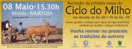 F N A N Cleo Da Murtosa Ravr Associa Se S For As Vivas Da