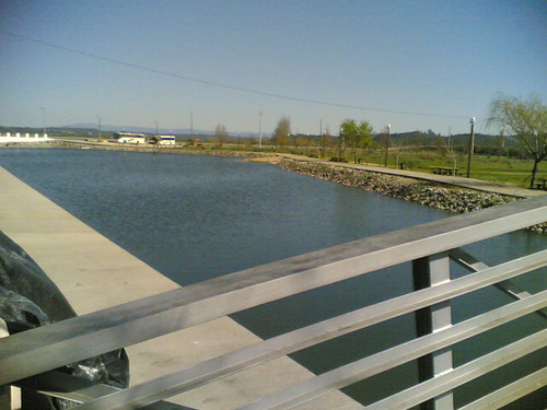 Ilha Mártir do Mondego - Lago