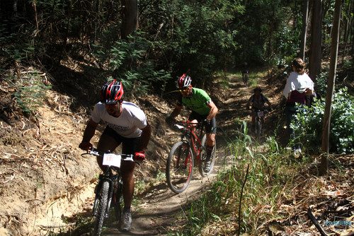 BTT Coimbra XCM 2012 Montemor (196) Pinha com pó