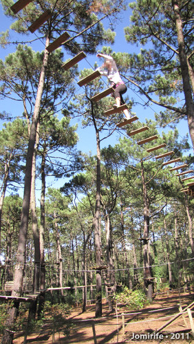 Parque Aventura: Pelas tábuas lá em cima