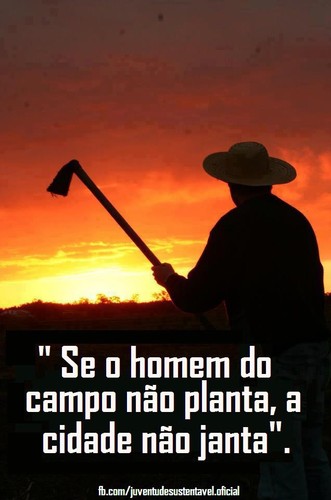 Frases Do Facebook Se O Homem Do Campo Não Planta A Cidade Não