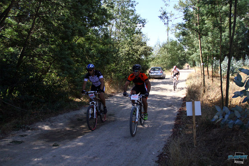 BTT Coimbra XCM 2012 Montemor (219) Terra batida