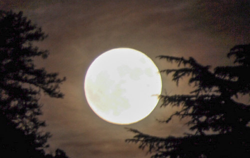 lua.jpg lua.jpg