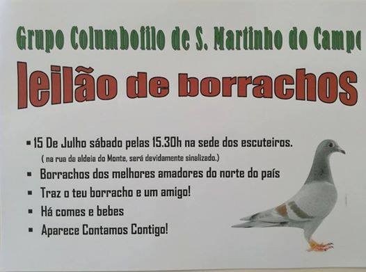 Leilão S.Martinho Campo.jpg Leilão S.Martinho Campo.jpg