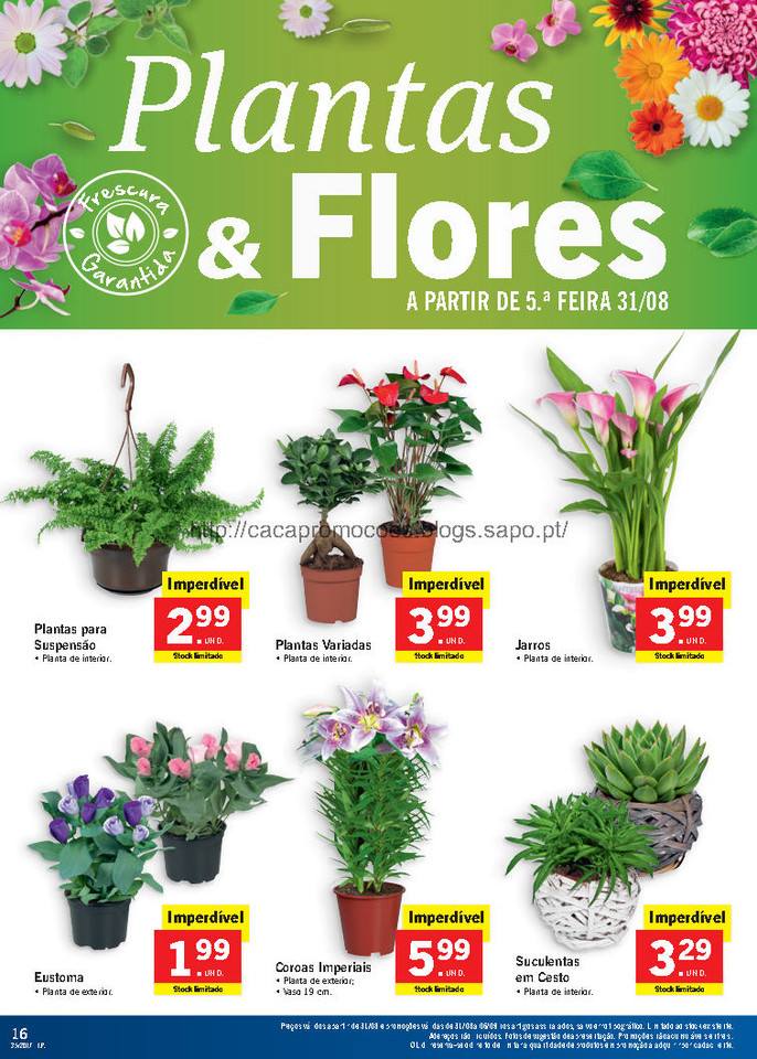 lidl folheto_Page16.jpg