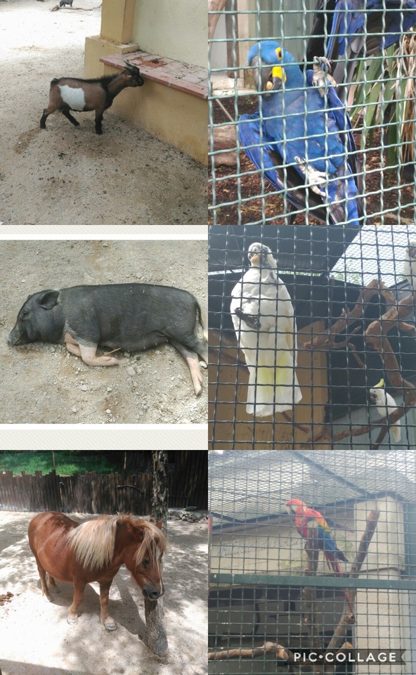 Collage 2017-08-31 23_22_30.jpg Collage 2017-08-31 23_22_30.jpg