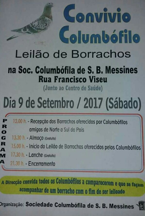 Leilão Messines.jpg Leilão Messines.jpg