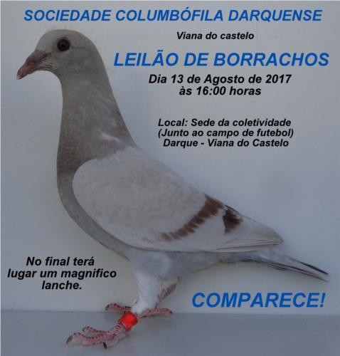 Leilão Darquense.jpg Leilão Darquense.jpg