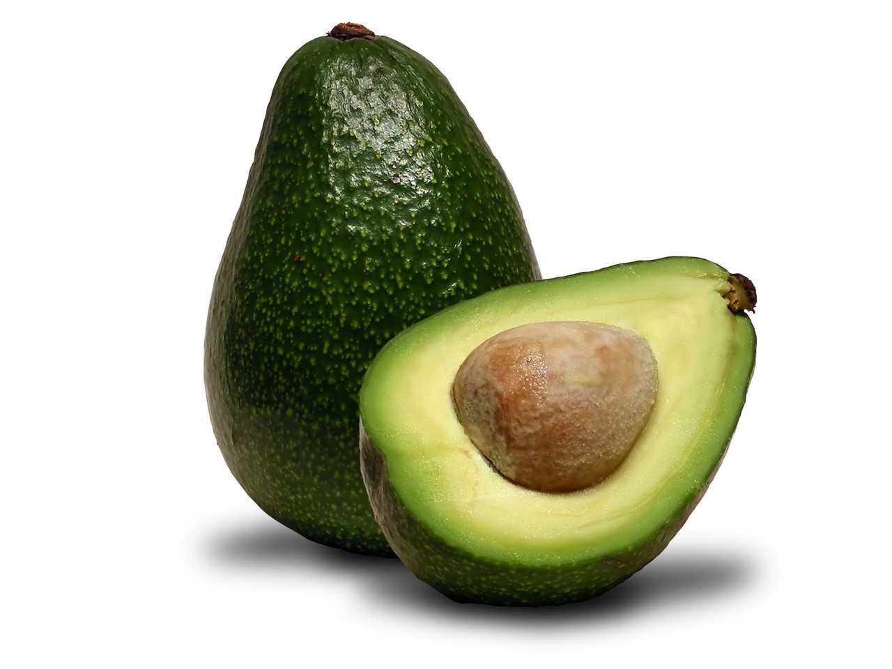 abacate.jpg abacate.jpg