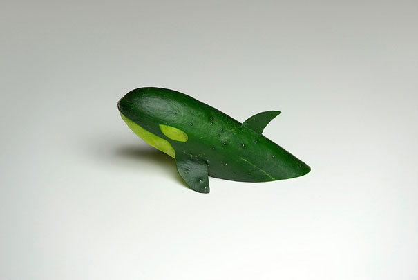 Pepino Orca