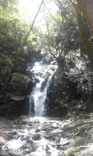 20180425_130536.jpg