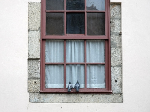 Blogue_p_XP1_Porto2018_1.jpg Blogue_p_XP1_Porto2018_1.jpg