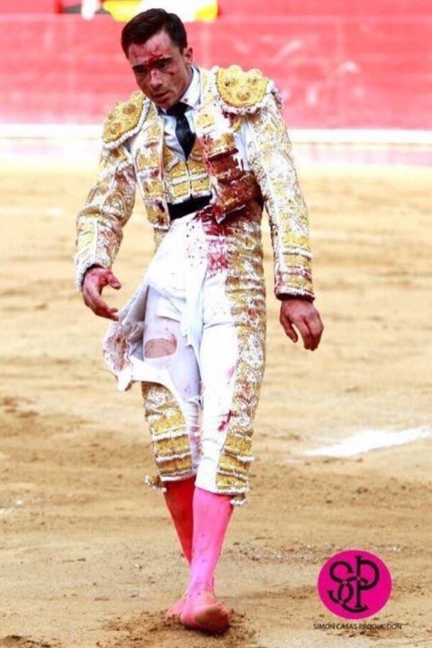 Toureiro vencido.jpg