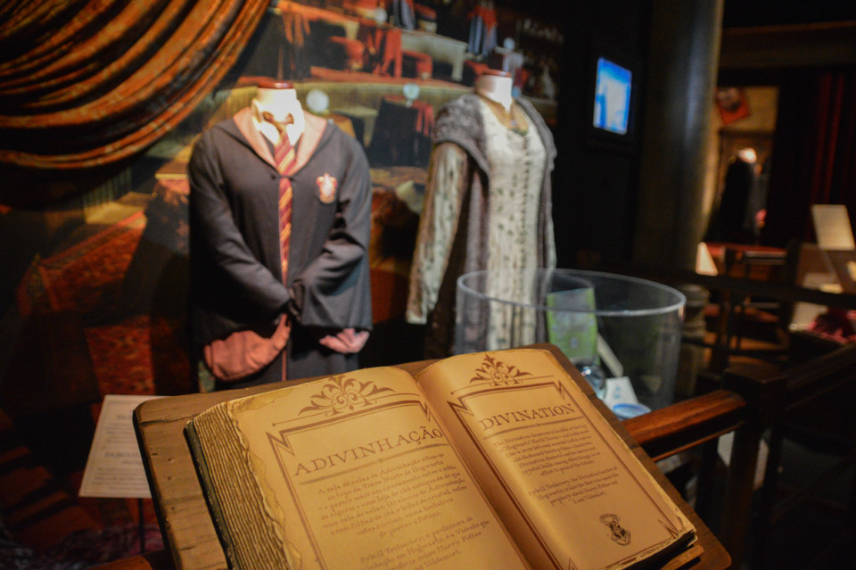 ExpHarryPotter_Mar2020-17.jpg