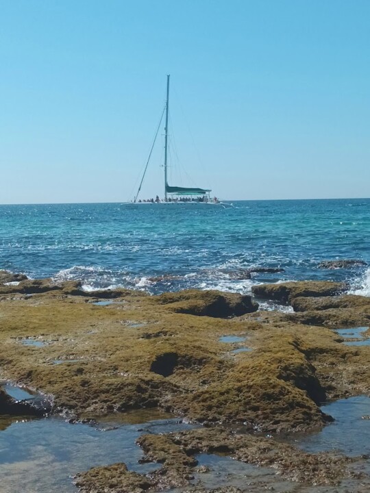 Não me canso disto mar7.jpg