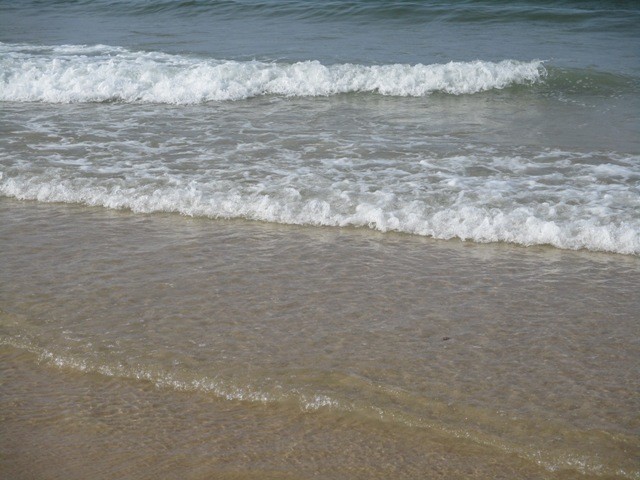 240567912_917888779080831_4340488793051638556_n.jp