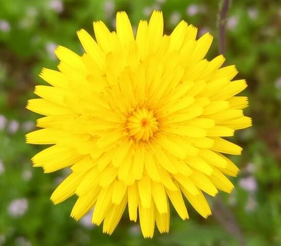 339449512_3345884492338851_1645609287836940957_n.j