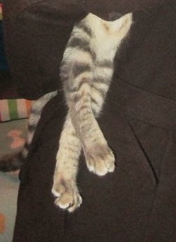 31732340_2095616230710510_6109448394967694701_n.jp