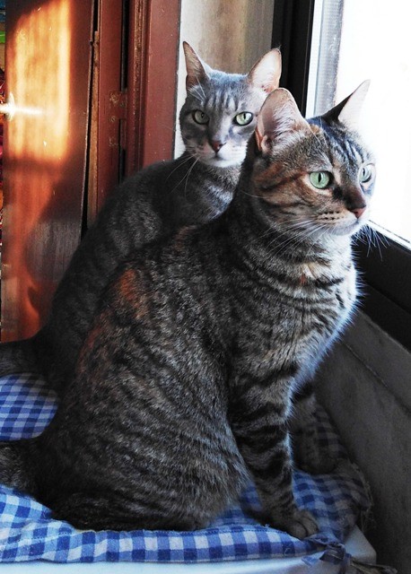 172505655_3004556346483156_7872126220484040514_n.j