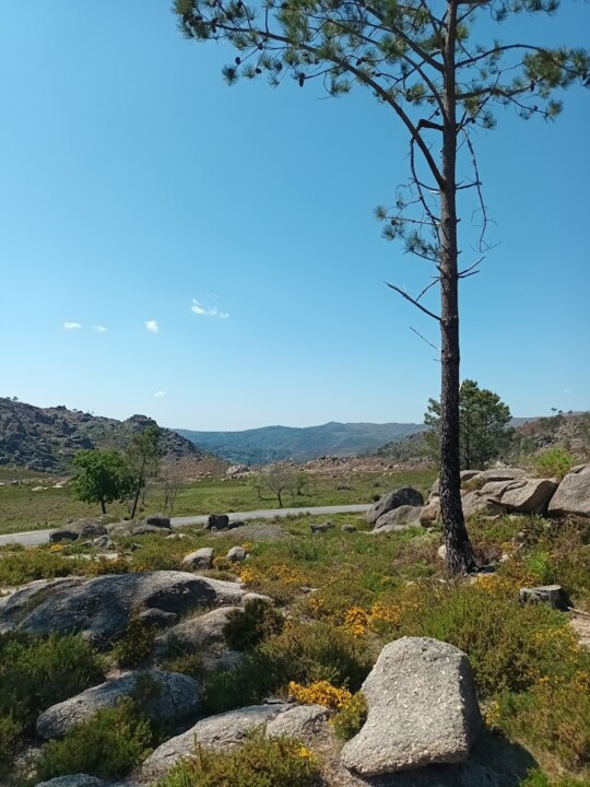NãoMeCansoDisto_geres4.jpg
