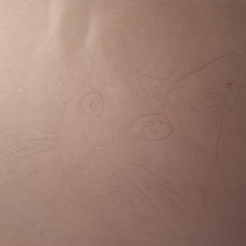 35762286_1509679869143961_3882732039962624_n.jpg 35762286_1509679869143961_3882732039962624_n.jpg