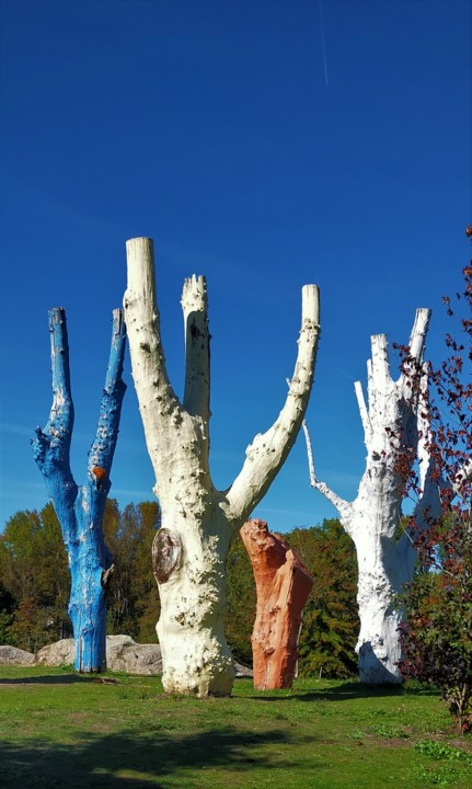 IMG_20201226_143007.jpg IMG_20201226_143007.jpg