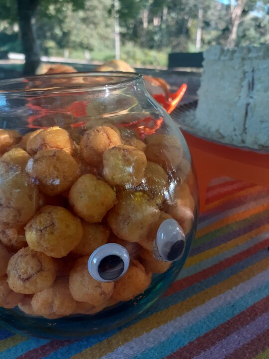 Não me canso disto_Afonsoaniv_4.jpg