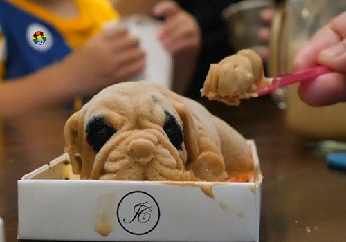 HD Gelados em forma de cachorros.jpg
