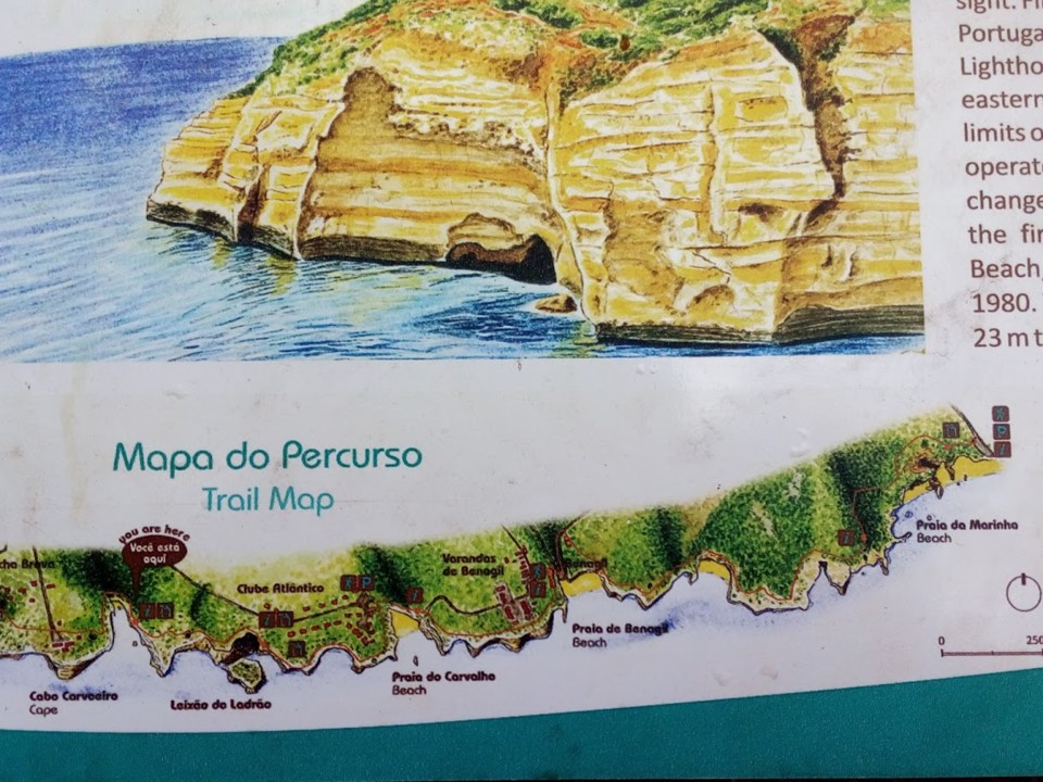 NãoMeCansoDisto_carvoeiro2.jpg