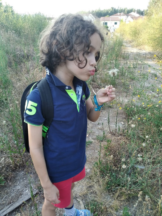 não_me_canso_disto_Mini_dente de leão2.jpg