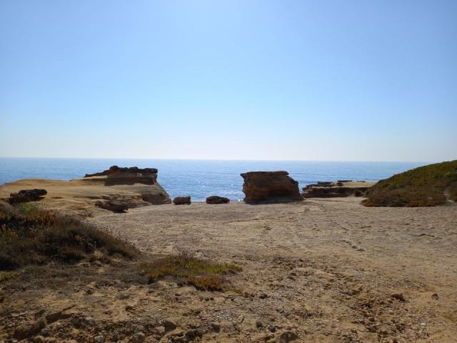 214292528_2009766292504839_3138131852658147120_n.j