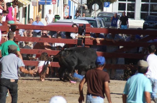 BENAVENTE.jpg BENAVENTE.jpg