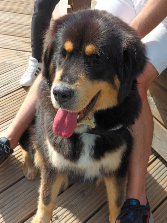 Não me canso disto_Pitoes1.jpg