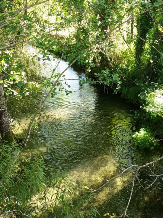 Não me canso disto trail2.jpg