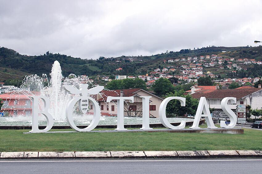boticas 1.jpg