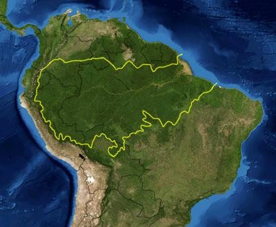 amazon_rainforest.jpg amazon_rainforest.jpg