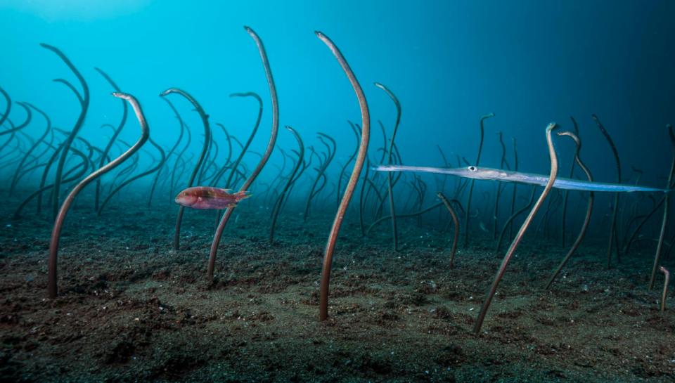 Captura de ecrã 2019-10-17, às 13.30.16.png