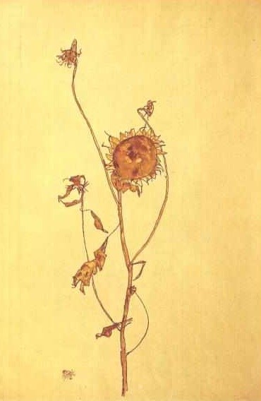 Schiele_-_Welke_Sonnenblume.jpg Schiele_-_Welke_Sonnenblume.jpg