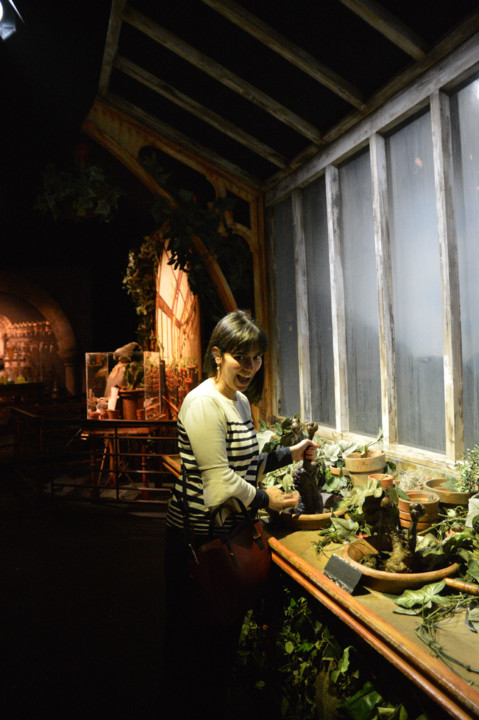 ExpHarryPotter_Mar2020-29.jpg