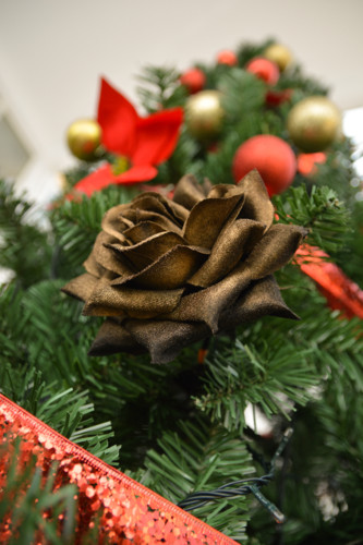 Arvore2018 (1 de 49).jpg