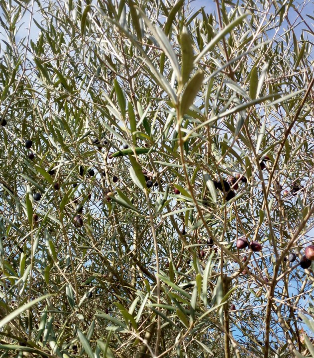 20191117_092435.jpg