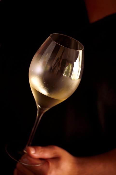 alvarinho-melgaco1.jpg