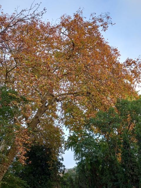 260046267_440881164280252_5012074354161720980_n.jp