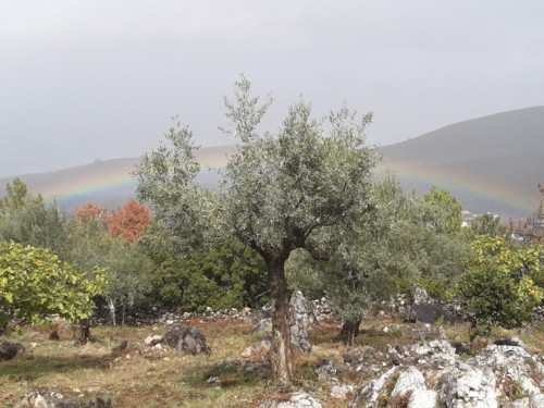 arco-iris.jpg