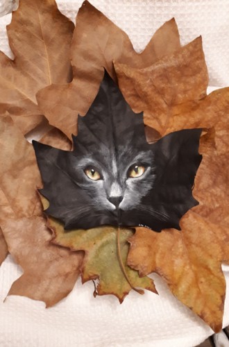 20181028_194552.jpg